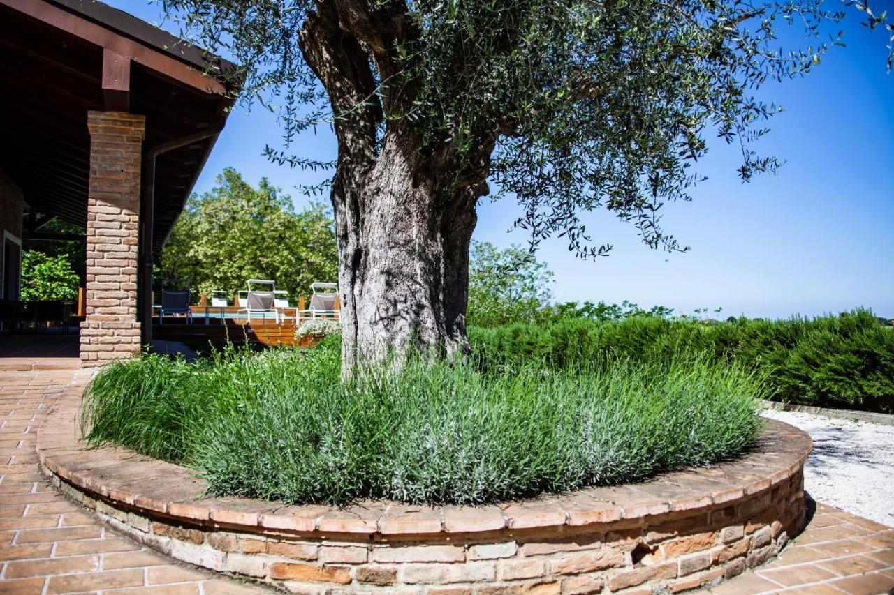 Resort Villa Paola Longiano Exterior photo