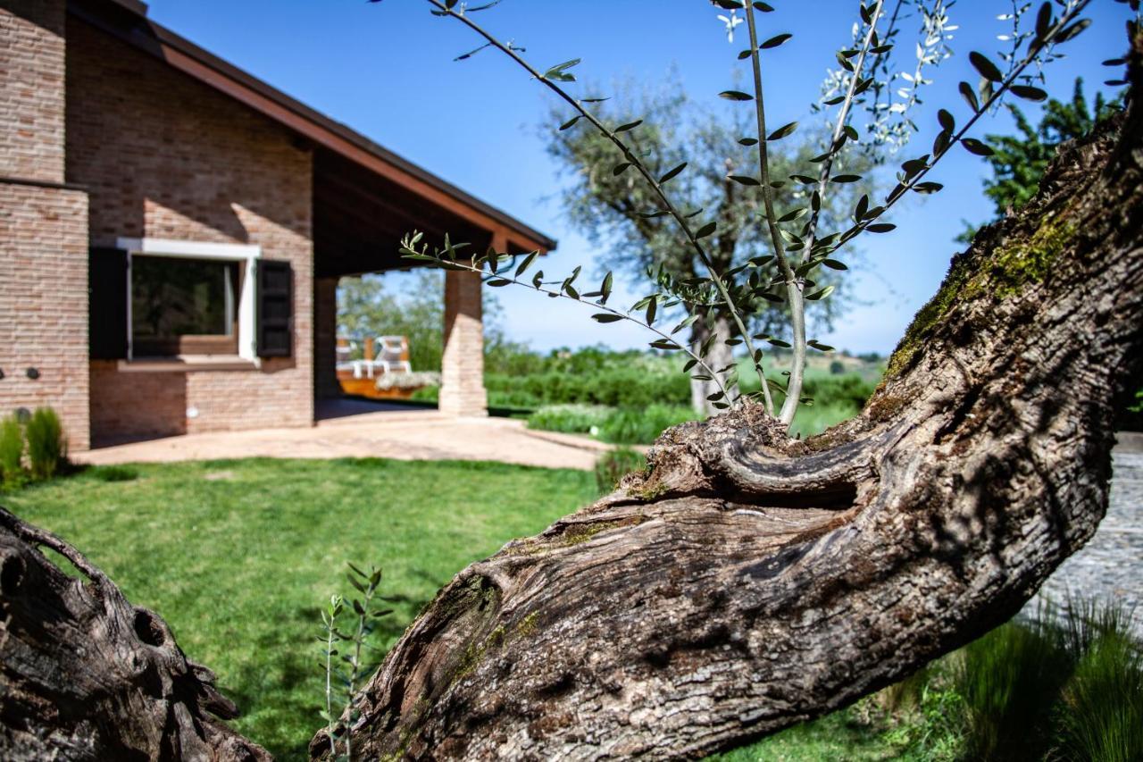 Resort Villa Paola Longiano Exterior photo